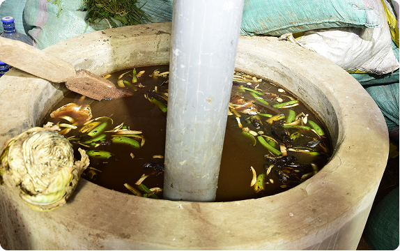 Biogas Systems
